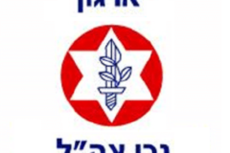 לוגו רגון נכי צה"ל